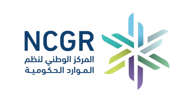 نظم الموارد الحكومية